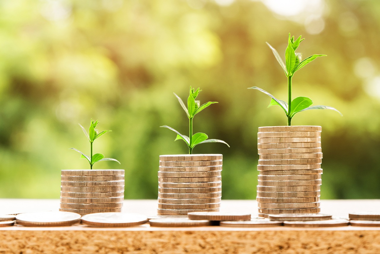 Stacks of coins with plants growing out of them showing savings growth