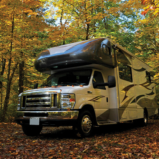 RV in woods